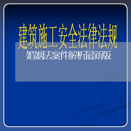 婚姻法案件解析最新版/2023112417250