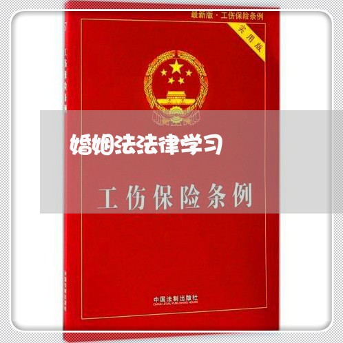 婚姻法法律学习/2023112495027