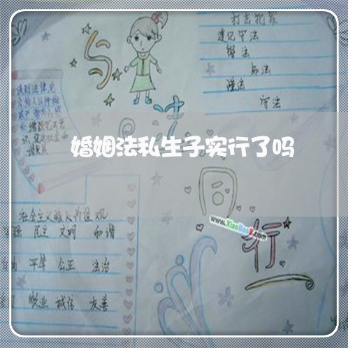 婚姻法私生子实行了吗/2023112460490