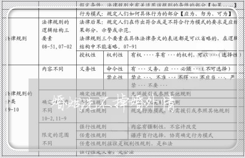 婚姻洗不掉婚外情/2023081408361