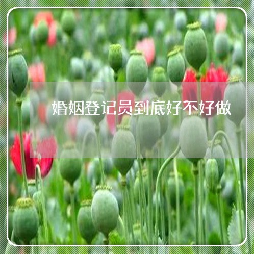 婚姻登记员到底好不好做/2023112774724