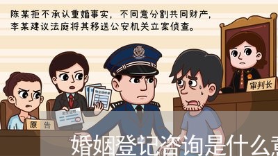 婚姻登记咨询是什么意思/2023112895915