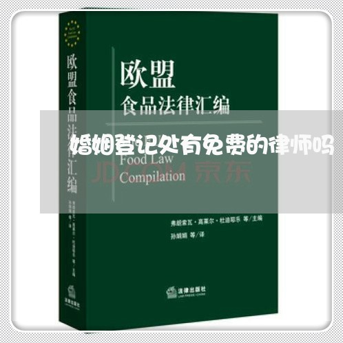 婚姻登记处有免费的律师吗/2023112795926