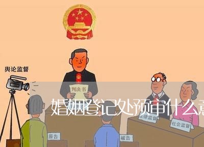 婚姻登记处预审什么意思/2023081714140