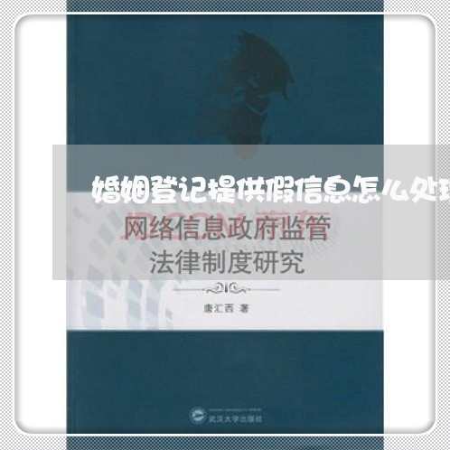 婚姻登记提供假信息怎么处理/2023081218261