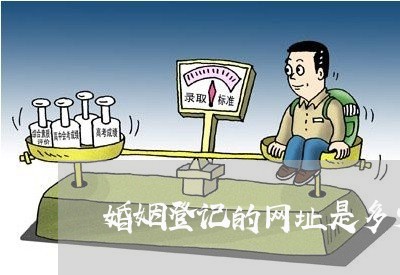 婚姻登记的网址是多少号/2023112715845