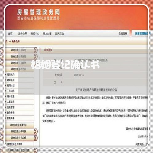 婚姻登记确认书/2023081682703