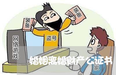 婚姻离婚财产公证书/2023111050372