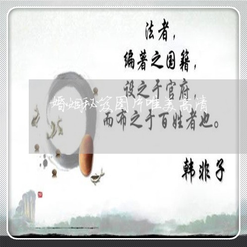 婚姻秘笈图片唯美高清/2023081807138