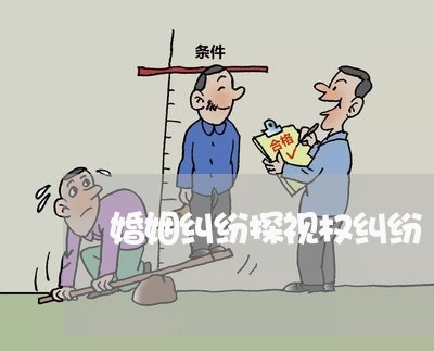 婚姻纠纷探视权纠纷/2023081526260