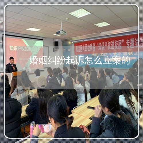 婚姻纠纷起诉怎么立案的/2023081430793