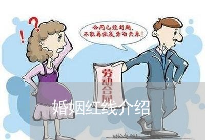 婚姻红线介绍/2023112452713