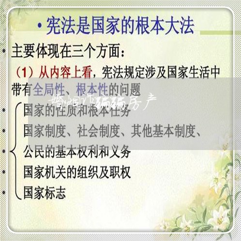 婚姻诈骗骗房产/2023081573826