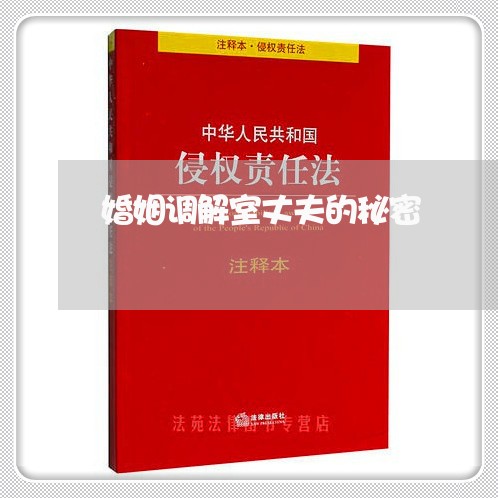 婚姻调解室丈夫的秘密/2023081422713