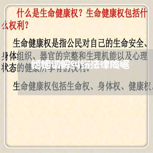 婚姻调解纠纷法律依据/2023112594925