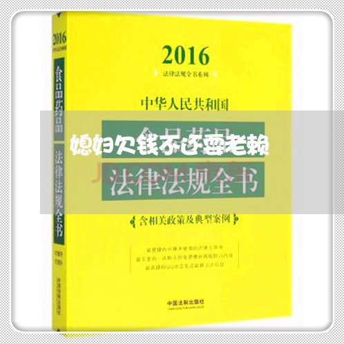 媳妇欠钱不还耍老赖/2023102515028