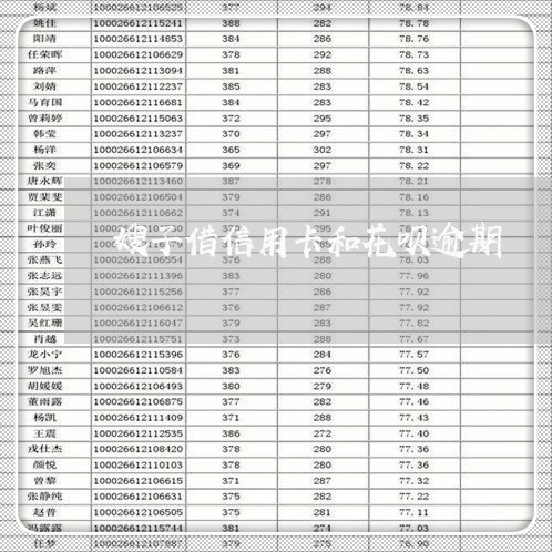 嫂子借信用卡和花呗逾期/2023121551581