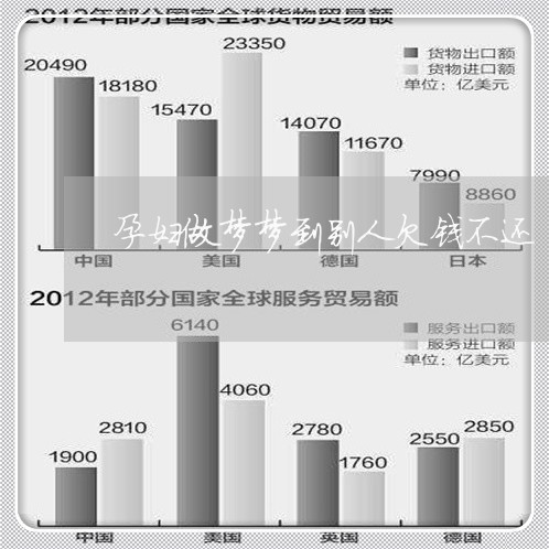 孕妇做梦梦到别人欠钱不还/2023110249361