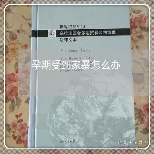 孕期受到家暴怎么办/2023110817259