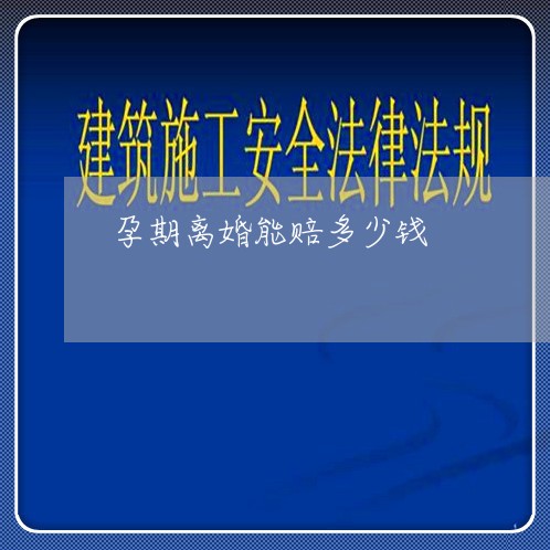 孕期离婚能赔多少钱/2023110537048