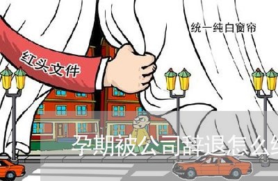 孕期被公司辞退怎么维权/2023052294604