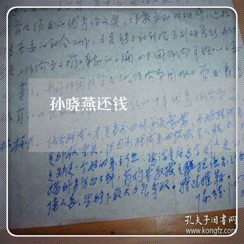 孙晓燕还钱/2023121673592