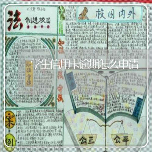 学生信用卡逾期怎么申请/2023112641693