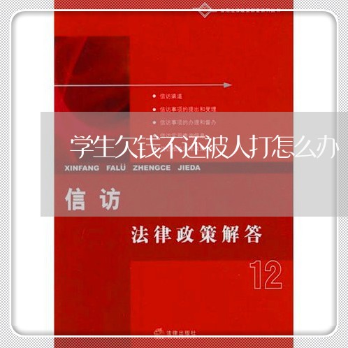 学生欠钱不还被人打怎么办/2023110786935