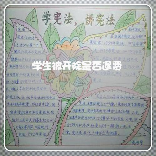 学生被开除是否退费/2023052313237