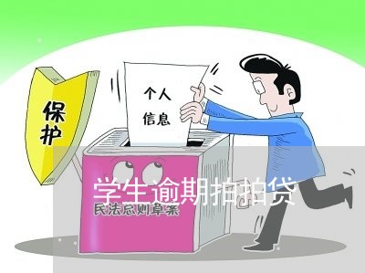 学生逾期拍拍贷/2023080180514