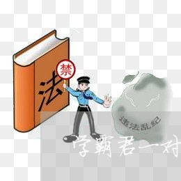 学霸君一对一退费好退吗/2023062620704