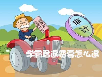 学霸君退费要怎么退/2023051995934