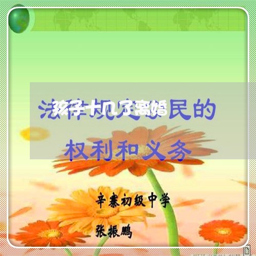 孩子十几了离婚/2023121730715