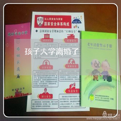 孩子大学离婚了/2023121761936