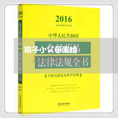 孩子小父母离婚/2023121784825