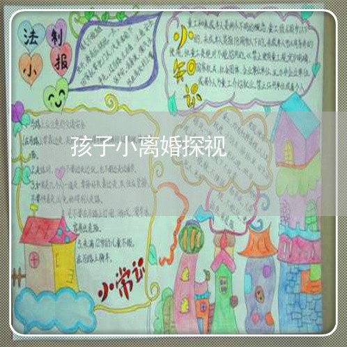 孩子小离婚探视/2023121615937