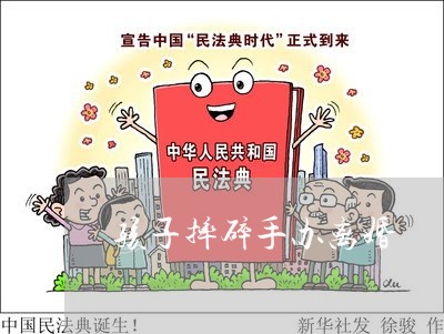 孩子摔碎手办离婚/2023092817268