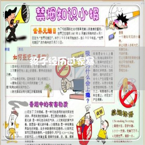 孩子经历过家暴/2023090707350