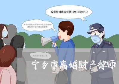 宁乡市离婚财产律师/2023110630580