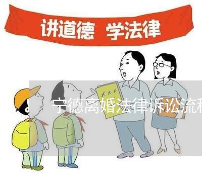 宁德离婚法律诉讼流程图/2023111484925