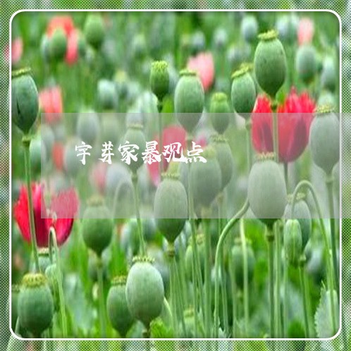 宇芽家暴观点/2023082579481