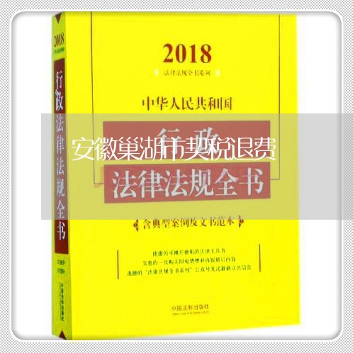 安徽巢湖市契税退费/2023052756059