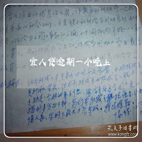 宜人贷逾期一个晚上/2023080398581