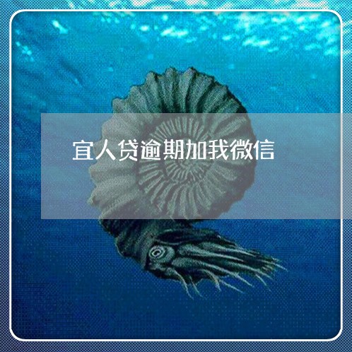 宜人贷逾期加我微信/2023062950513