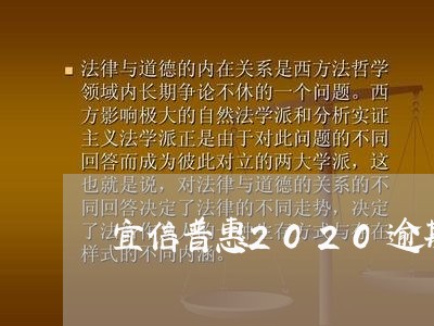 宜信普惠2020逾期一天/2023080485860