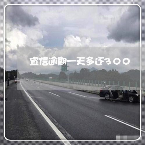 宜信逾期一天多还300/2023062315937