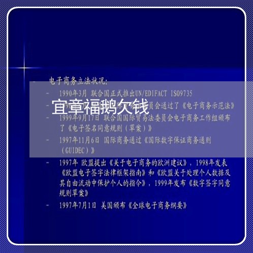 宜章福鹅欠钱/2023100919260