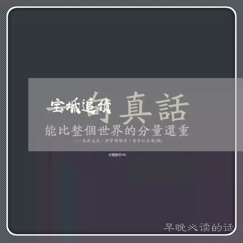 宝坻追债/2023110972805