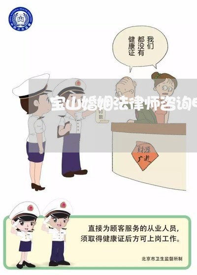 宝山婚姻法律师咨询电话/2023112429472