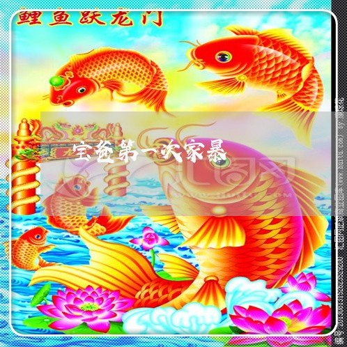 宝爸第一次家暴/2023091531582